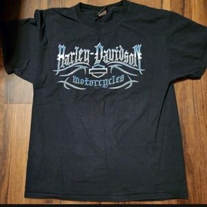 RARE Mens Harley Davidson Sz L Black Short Sleeve Tee Worn 2 or 3X, Circa 2007